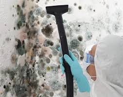 Professional Mold Inspection in Nanticoke, PA